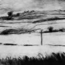 landscape 1