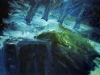 stream